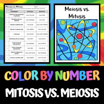 mitosis matching worksheet answers