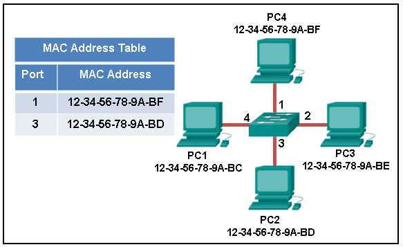 netacad exam 8 answers