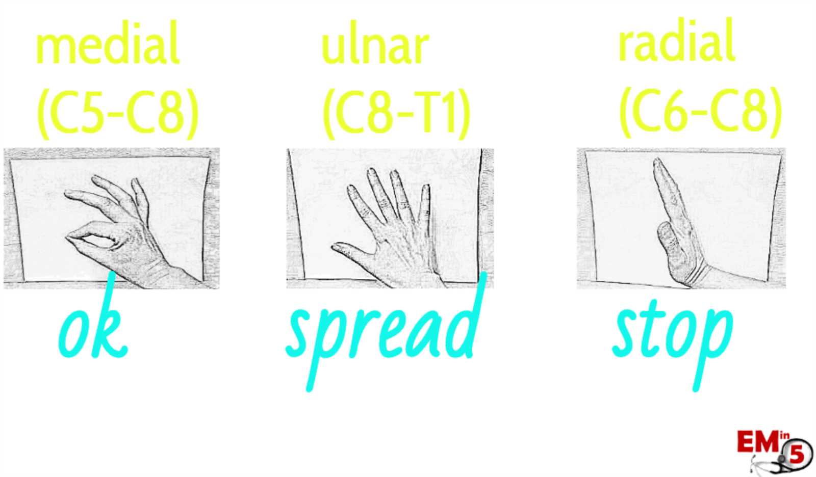 neuro psychiatric exam sample questions