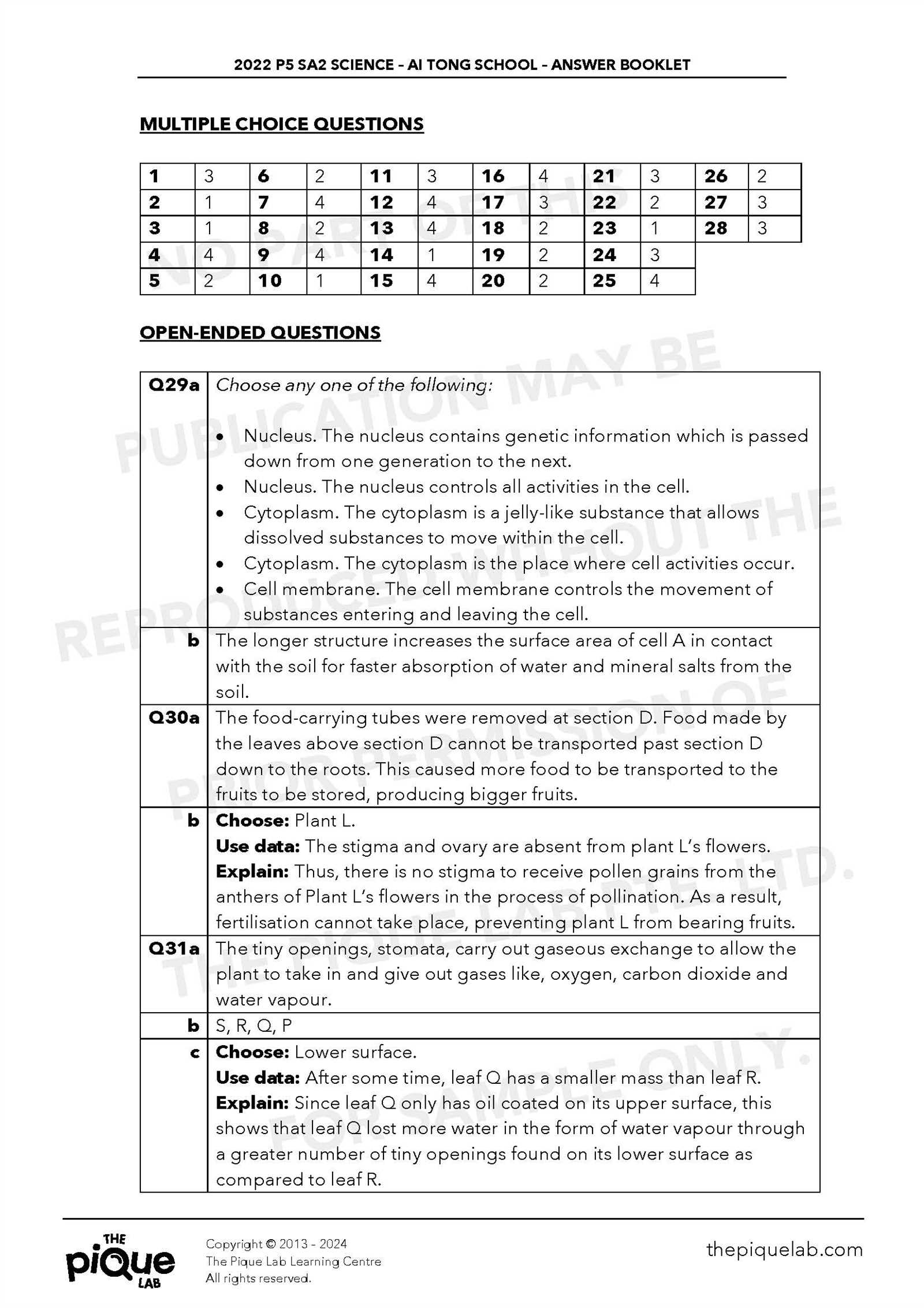 p5 exam answers