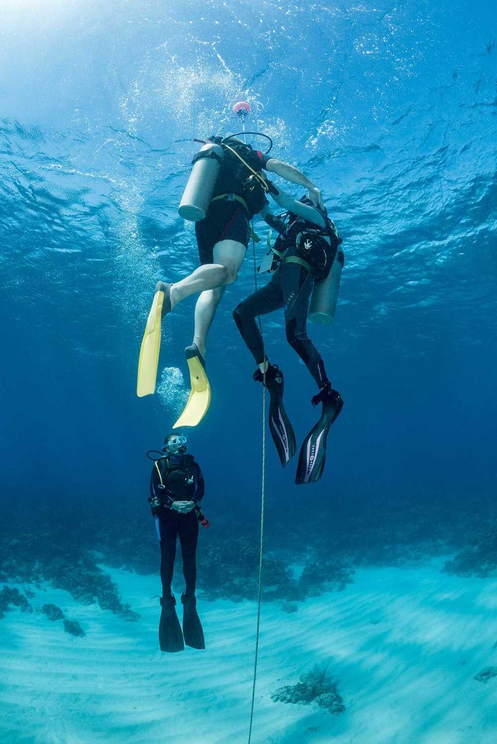 padi rescue diver exam answer key