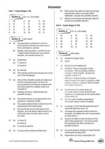 pals version a answer key