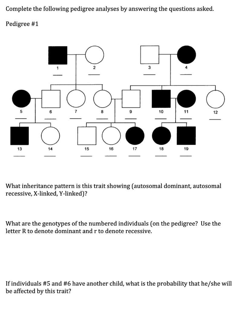 pedigree questions and answers