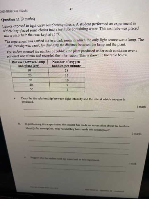 photosynthesis exam questions and answers