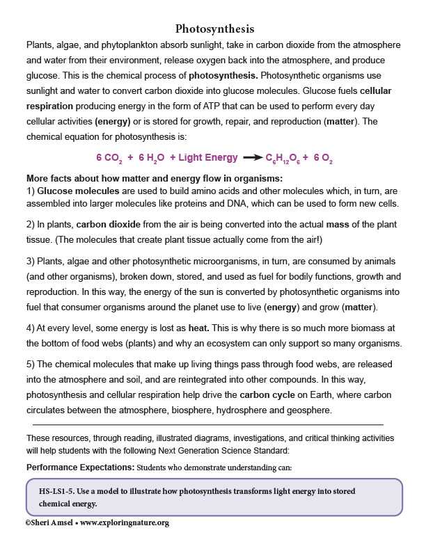 photosynthesis exam questions answers