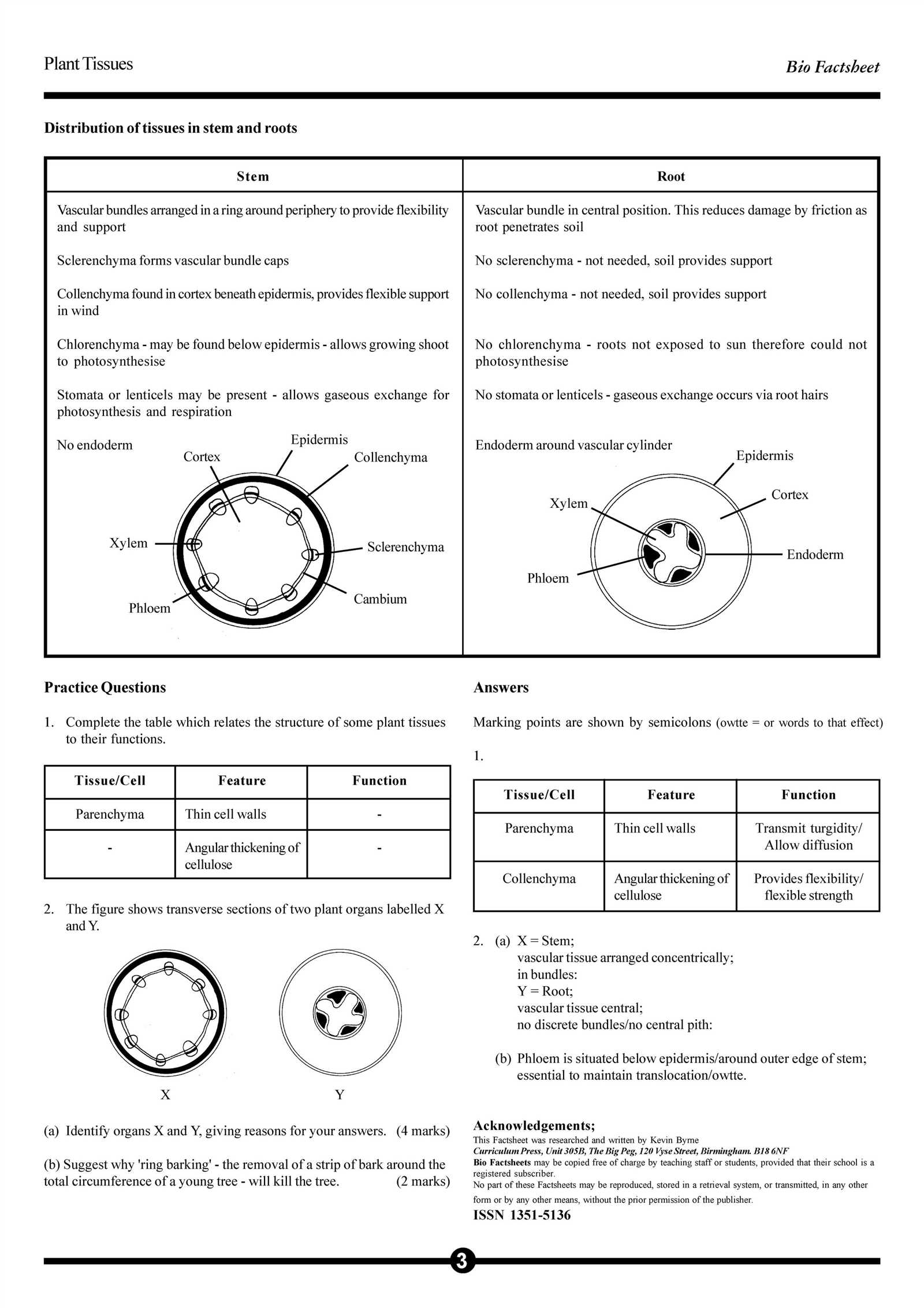 plant biology exam questions and answers