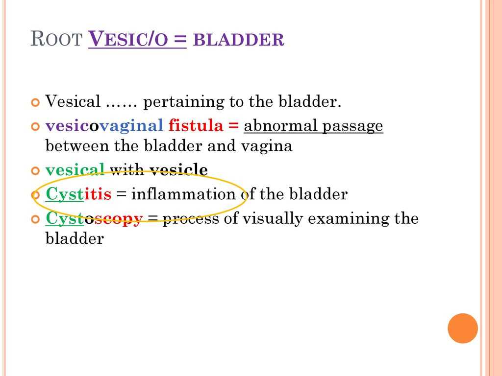 process of visually examining the urinary bladder