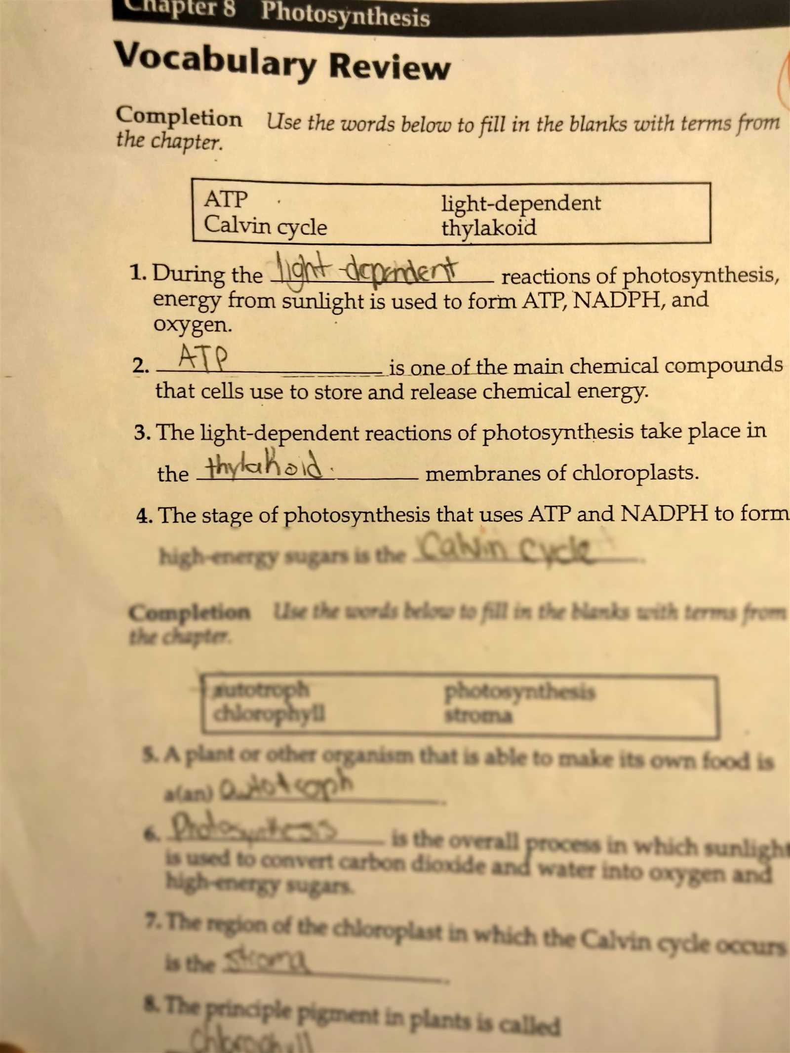 section 8 3 the reactions of photosynthesis worksheet answers