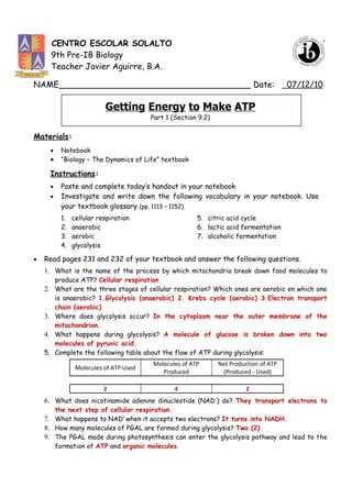 section 8 3 the reactions of photosynthesis worksheet answers