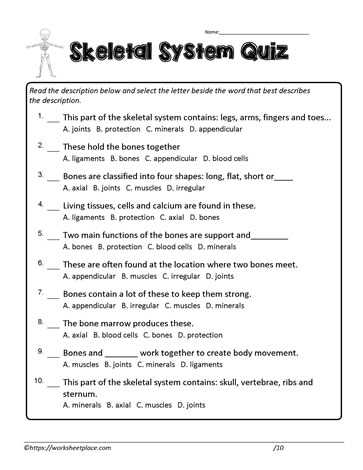 skeletal system exam answers