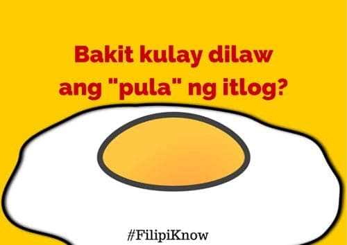 tagalog jokes question and answer