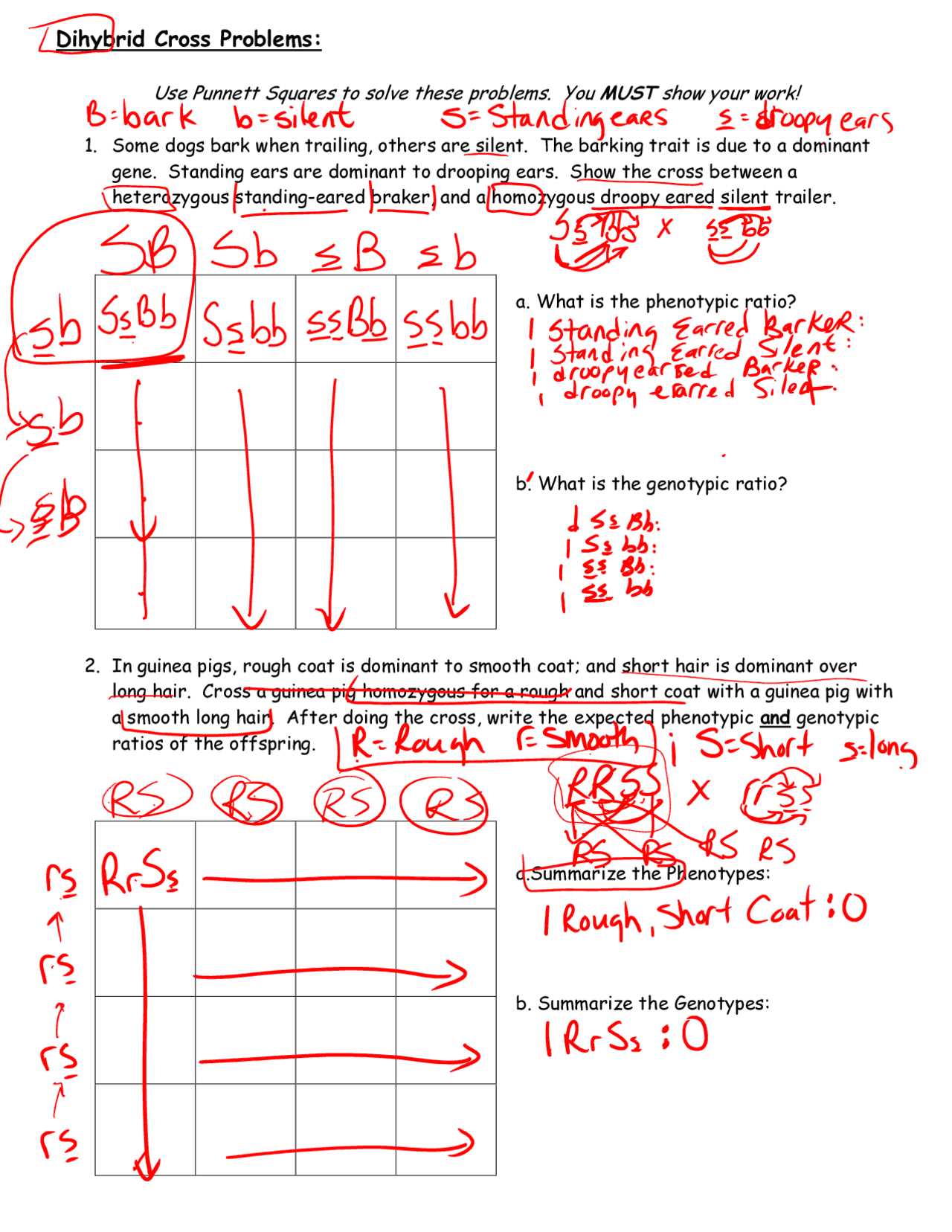 test cross worksheet answers