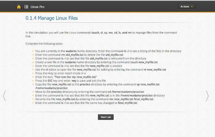 testout linux pro certification practice exam answers