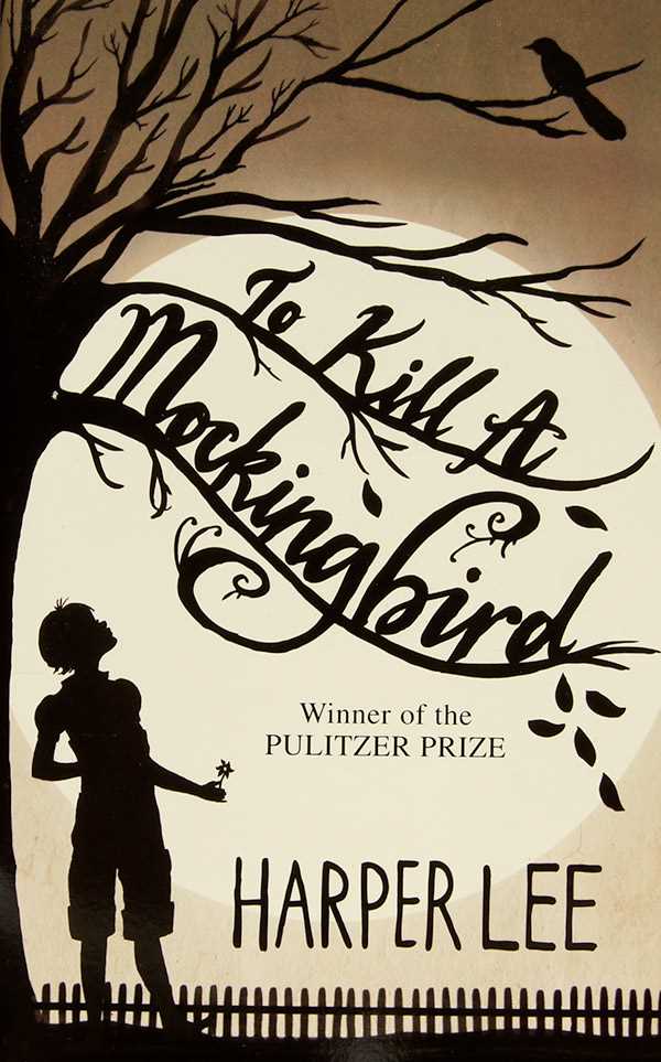 to kill a mockingbird questions and answers