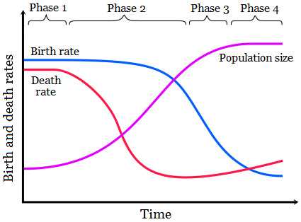 unit 3 populations apes exam review answers