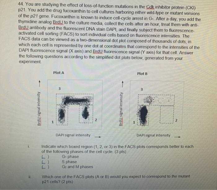 usabo 2025 open exam answers