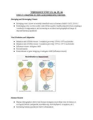 virology exam questions and answers