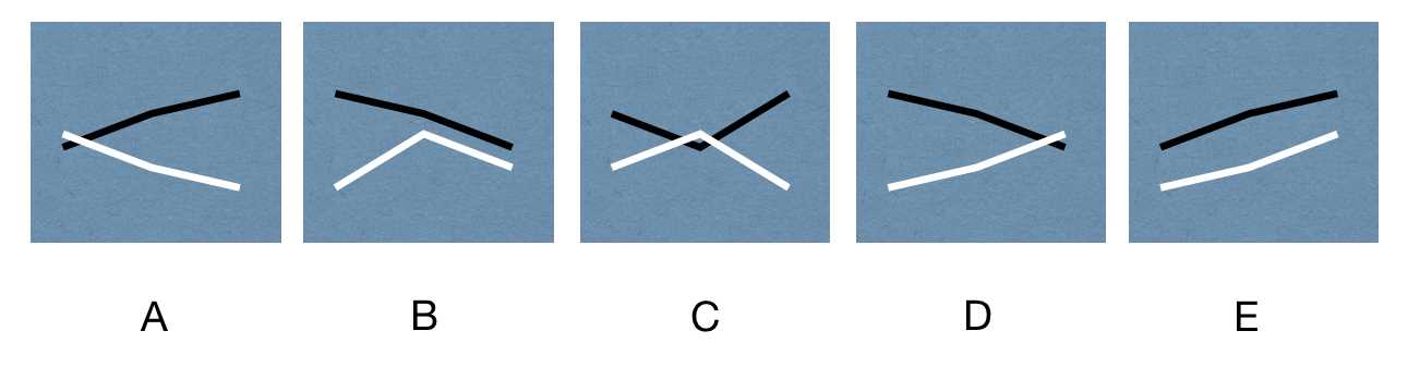 wonderlic sample test with answers