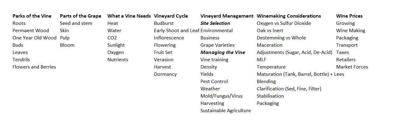 wset level 3 exam questions