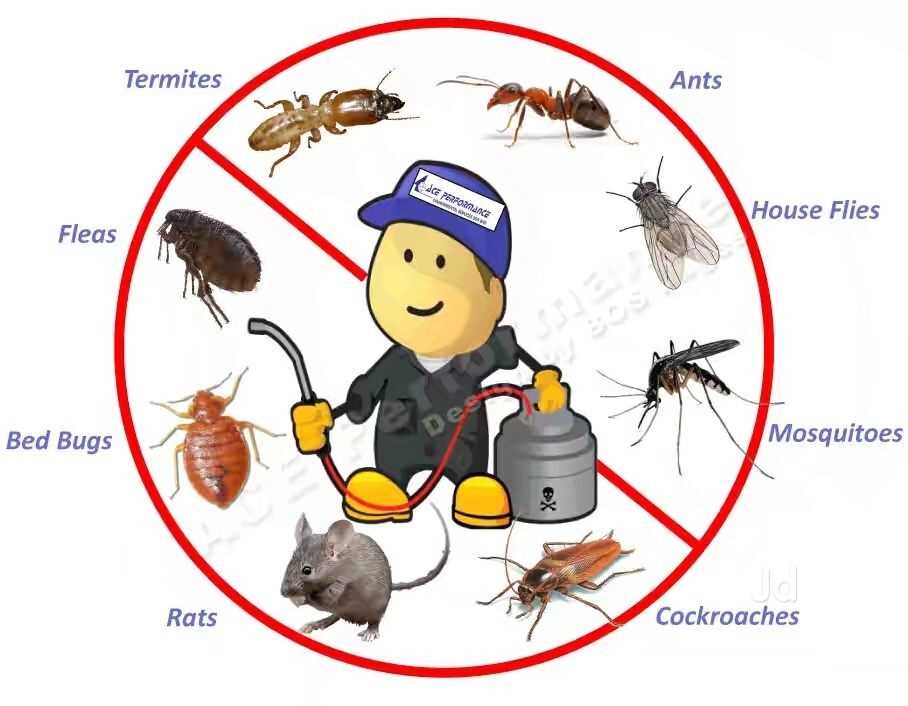 ace pest exam answers