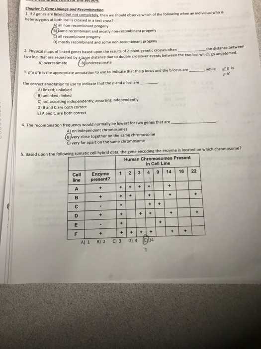 test cross worksheet answers