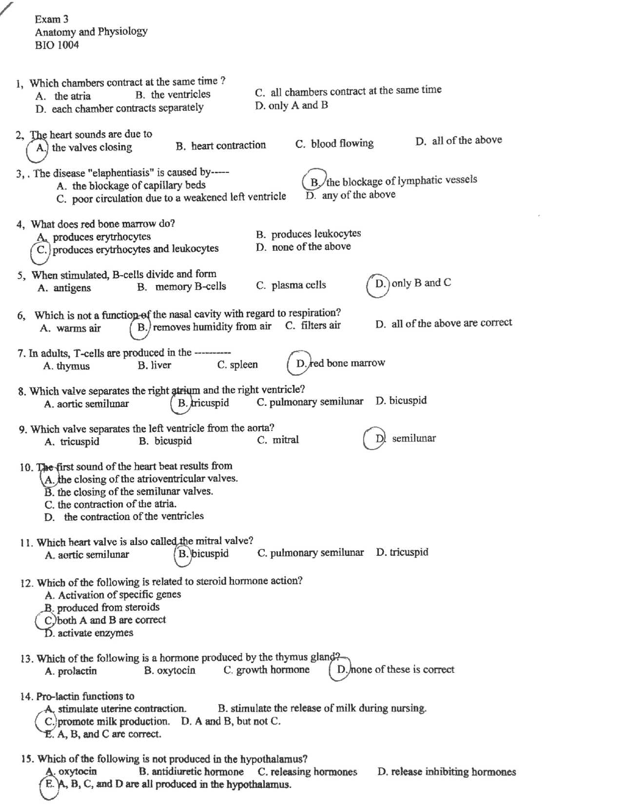 anatomy and physiology 1 exam 3 answers