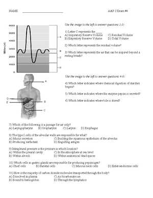 anatomy and physiology 2 exam 1 with answers