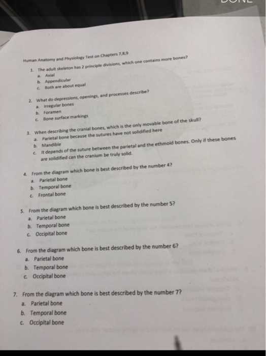 anatomy and physiology 2 exam questions