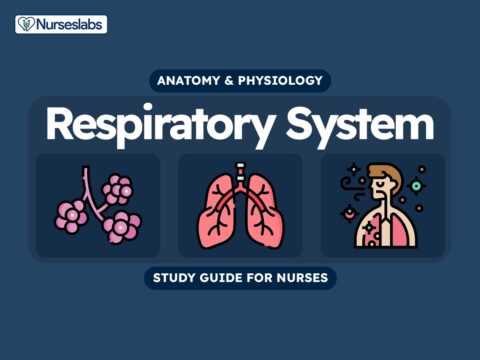 anatomy and physiology lab exam