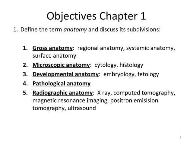 anatomy lab exam 1