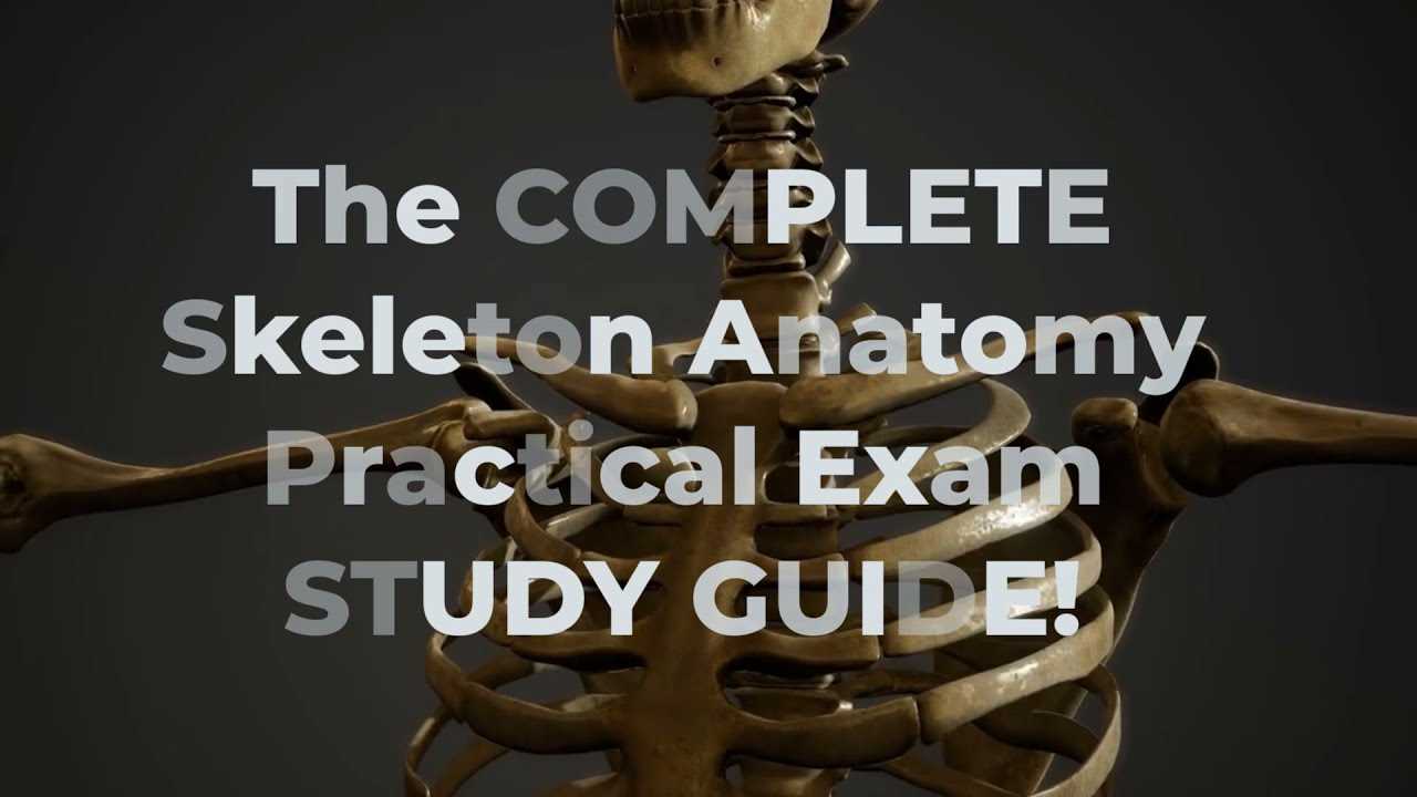 anatomy practical exam