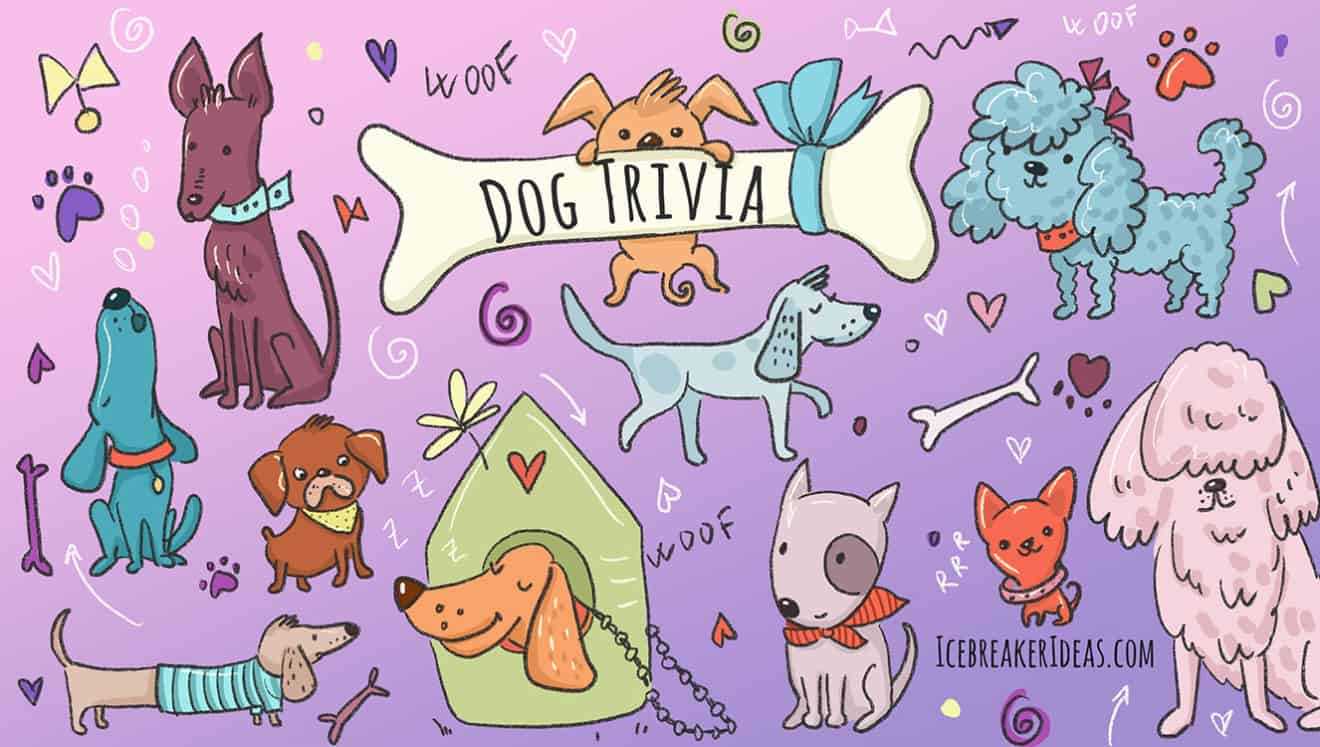 animal trivia questions with answers