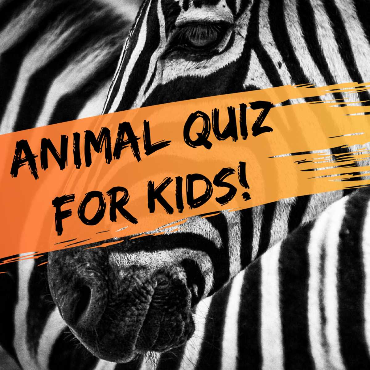 animal trivia questions with answers