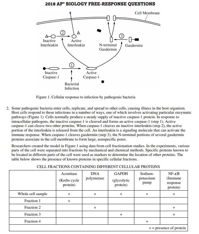 ap bio exam 2025 frq answers