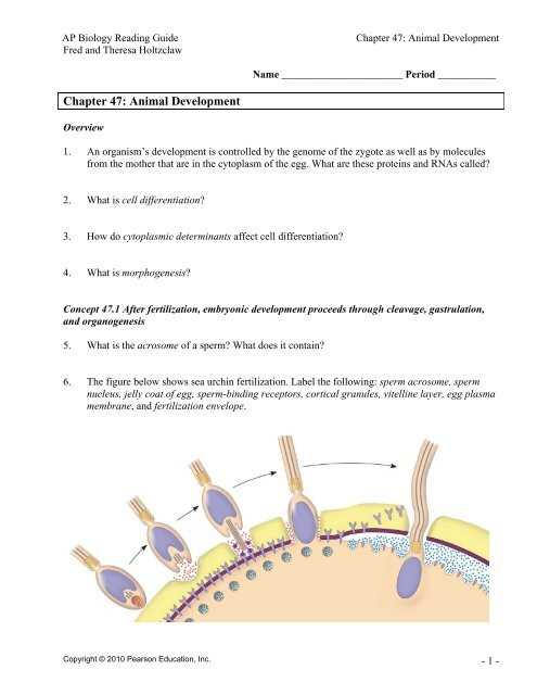 ap biology reading guide fred and theresa holtzclaw chapter 22 answers