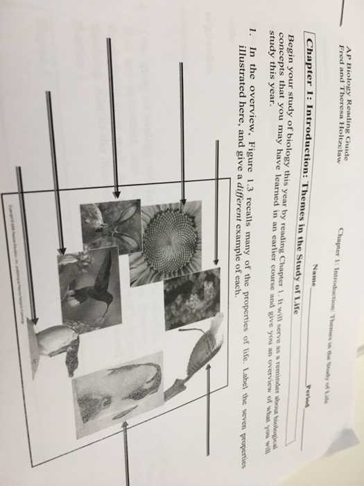 ap biology reading guide fred and theresa holtzclaw chapter 22 answers