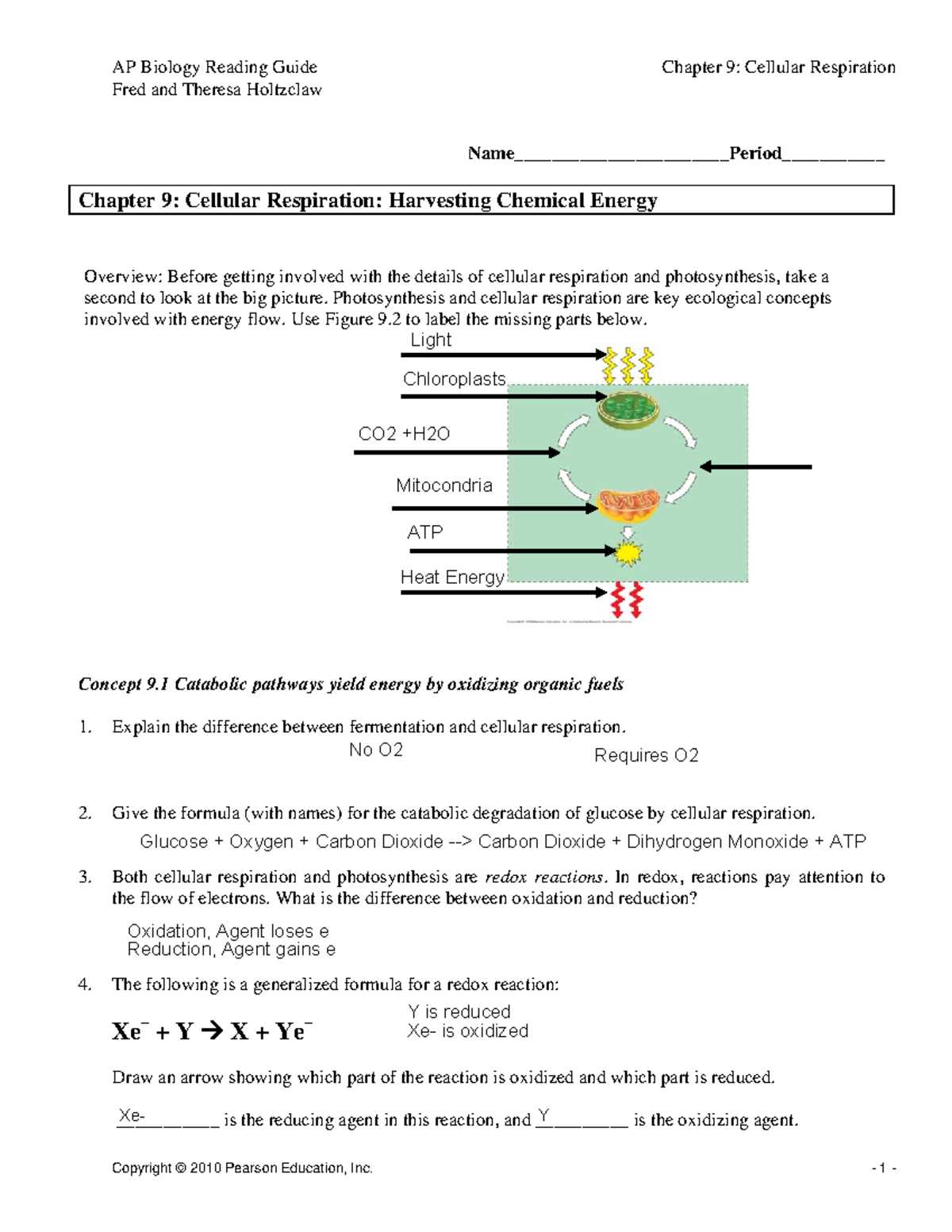 ap biology reading guide fred and theresa holtzclaw chapter 52 answers