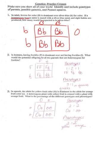 genetics exam review answer key