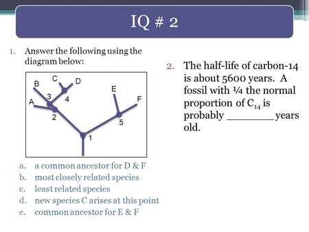 pogil activities for ap biology mass extinction answers