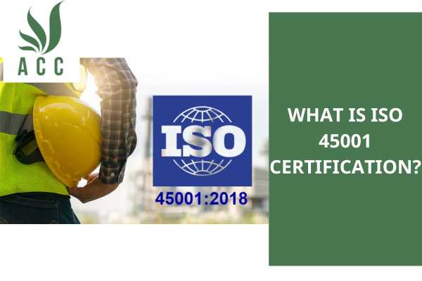 iso 45001 lead auditor exam questions and answers