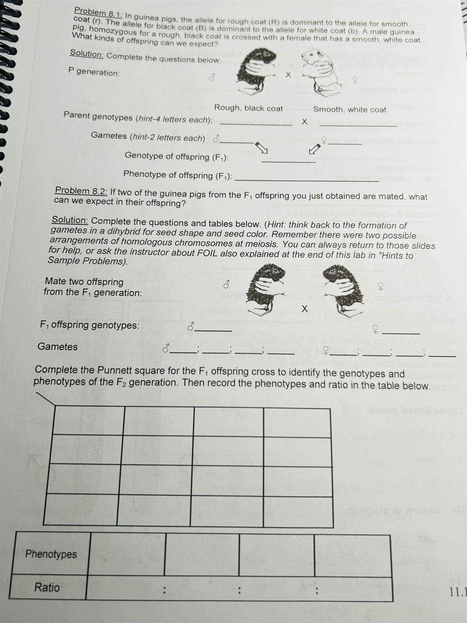 11.1 the work of gregor mendel answer key