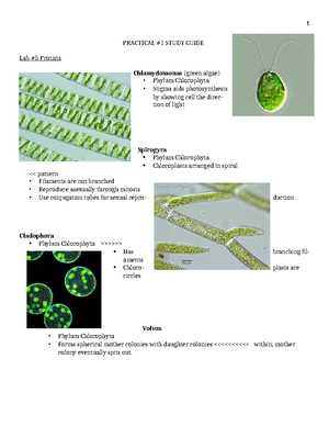 biology 101 lab practical exam