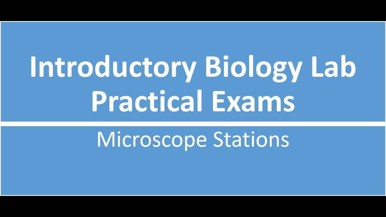 biology 101 lab practical exam