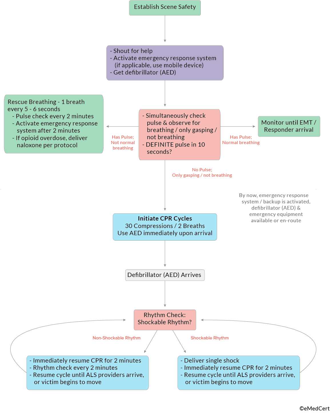 bls answer key