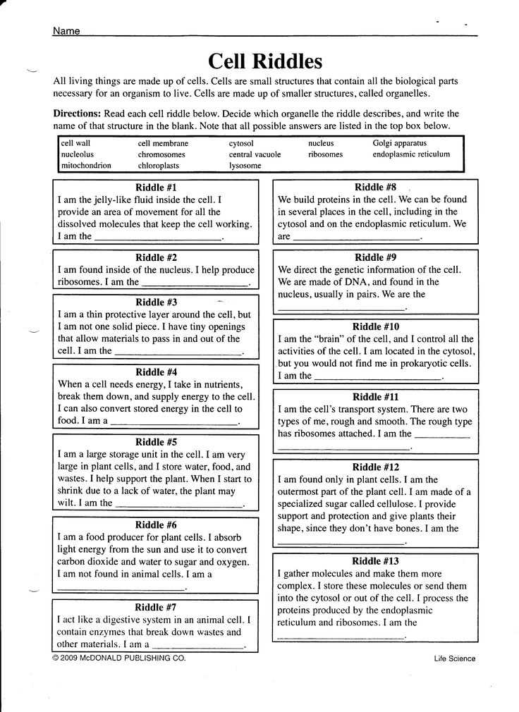 science riddles with answers