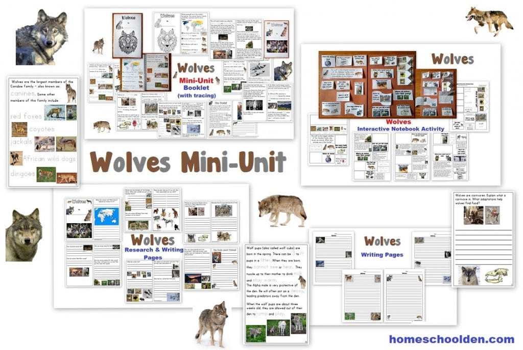 call of the wild worksheets answers