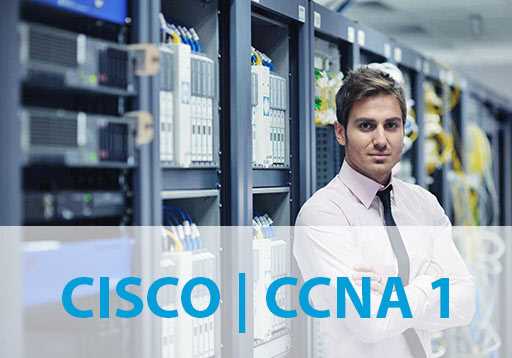 ccna 1 exam answers