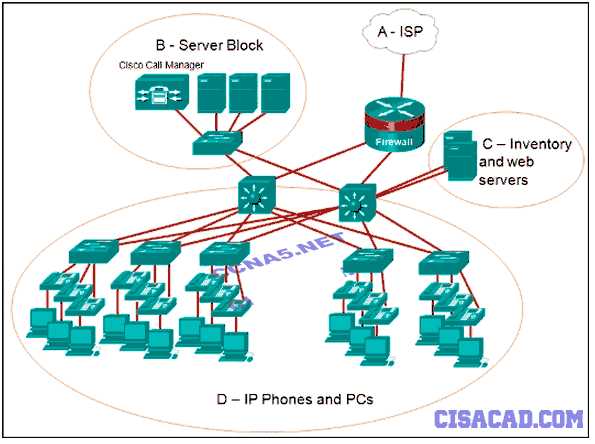 ccna 1 packet tracer final exam