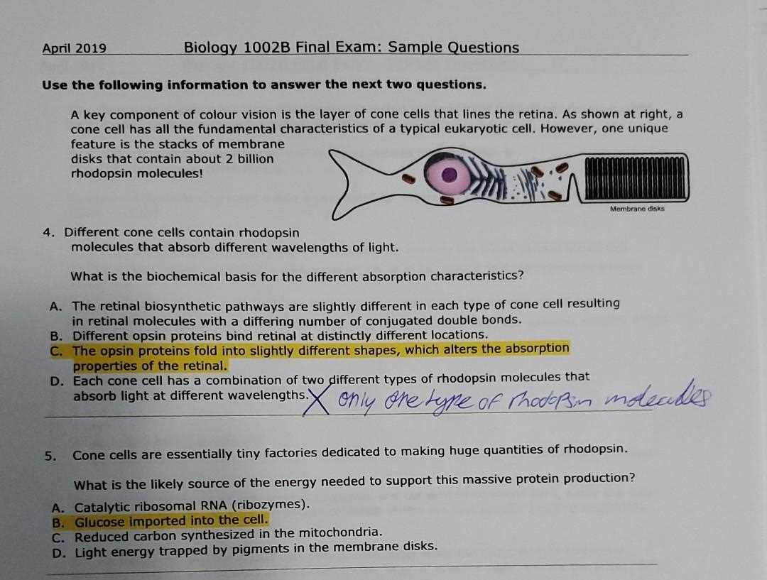 cell biology final exam