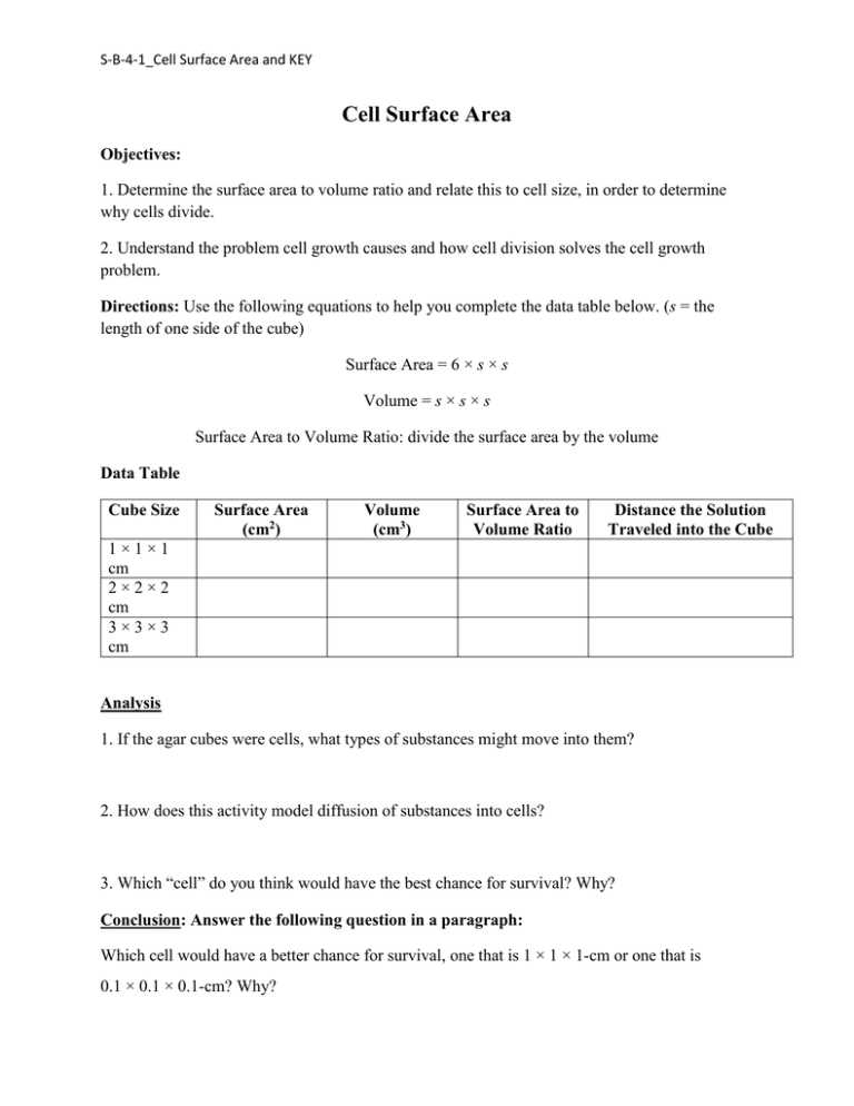 cell size worksheet answers